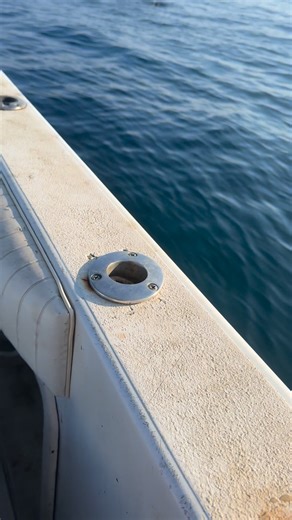 Frank Rodriguez Hernandez on Reels