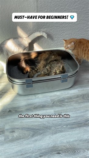 Work smarter, not harder. 🛠️✨ A premium sifting box is the ultimate life hack for cat owners. Cleaning is now the easiest part of your day! Order now! 💎 #cat #catsoftiktok #meow #meowbox #furrbbysiftinglitterbox