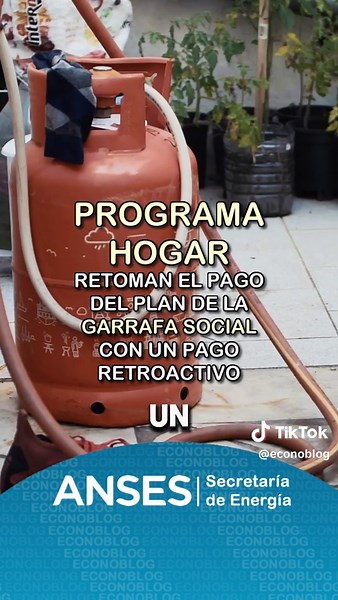 Pagos Retroactivos del Programa Hogar en Noviembre 2024