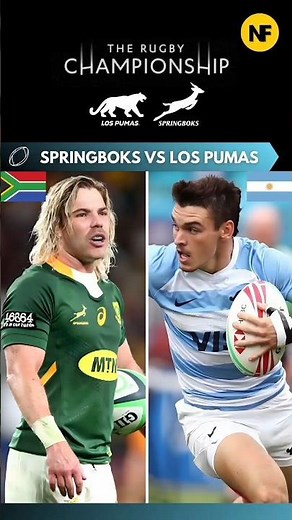 SPRINGBOKS vs LOS PUMAS en The Rugby Championship 2023 - NiuFocus