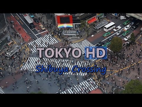 Shibuya Crossing Tokyo Rush Hour Cars Traffic in Japan with Busy Crowd of People on Shopping Street