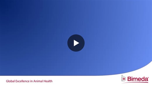 #bimeda #bimedabrazil #collaboration #leadership #supplychain #teamwork #organizationalculture | Paula Jacob