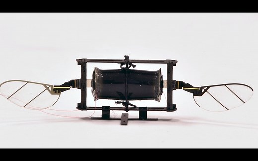 Insectlike robots 仿生昆虫机器人