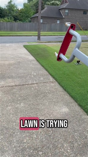 Essential Summer Lawn Care Tips for Resilient Grass