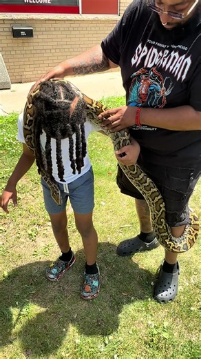 #snake #python #reptile | snakes