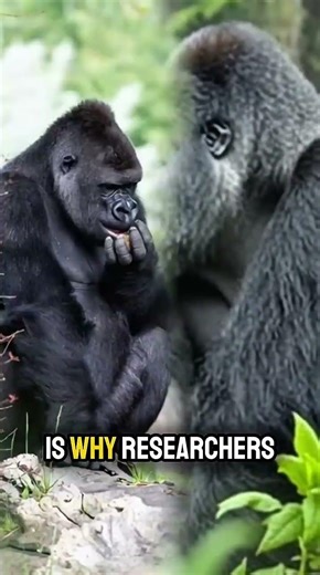 Dominance Force #animals #shorts