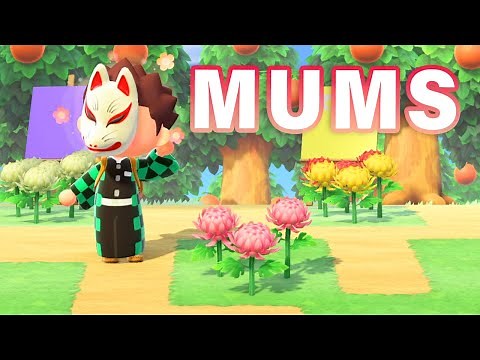 How to BREED Every MUM (the flower..) Hybrid | Guide ► Animal Crossing: New Horizons