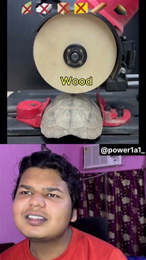 Which One Can Cut Turtle Shell? 🐢 🤯!#shorts