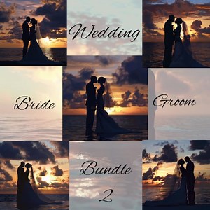 Bride and Groom Digital Images, Wedding Invitations (PNG)