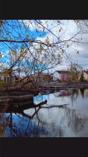 #almonte #canada_life🇨🇦 #coffeetiktok #pyfツ #traveltiktok