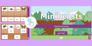 Minibeasts Interactive Matching Activity
