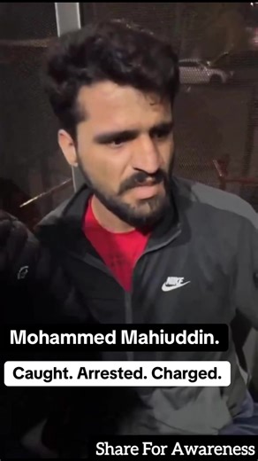 Jack Buntis Nonce Stings Page (@plankthedog)’s videos with original sound - Jack Buntis Nonce Stings Page