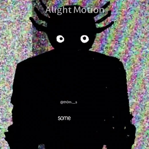 Kinito Pet Insights and Obsessions