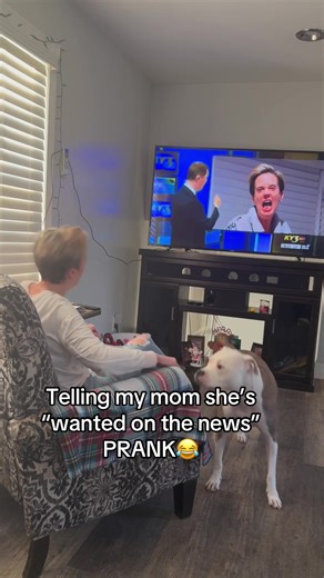 Fake news prank #funnyvideos #funnytiktok #prank #new #fyp #funny #Foryou #tiktok