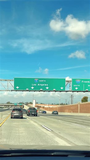 Fred | Welcome to Los Angeles, California 🌴💙🌴 . . #losangeles #lossantos #gta #dtla #reelinstagram #california | Instagram