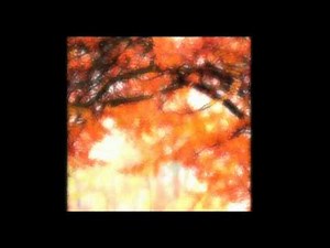 JUAN LUIS GUERRA - BACHATA ROSA