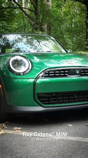 🚘 Spotlight on the Ray Catena MINI Cooper S! 🚘