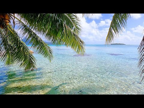 Relaxing View: Tropical Ambience of Paradise (French Polynesia) with Soothing Wave Sounds