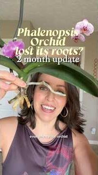 Once those blooms on your orchid falls off, you have some work to do. #orchidcare