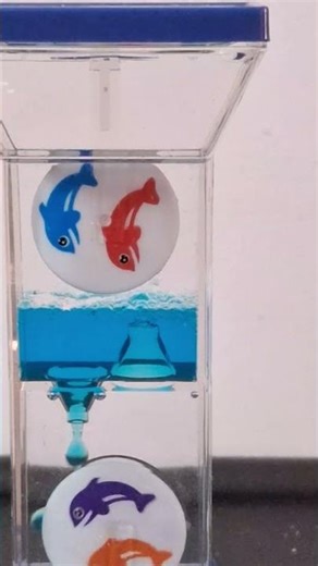 What is Time? #ToyingWithScience #ScienceToy #PhysicsInAction #LiquidTimer #TimeExperiment #STEM