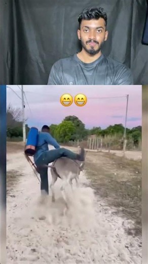 Try not to laugh challenge 1177😂#funny #shorts