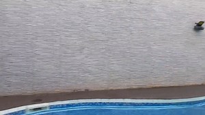 114K views · 6.7K reactions | À LA PISCINE _ AT THE SWIMMING POOL | Axel Merryl Fan | Facebook