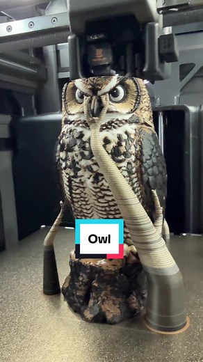 Bambu Lab H2C 4-Color Watchful Owl 3D Print Update