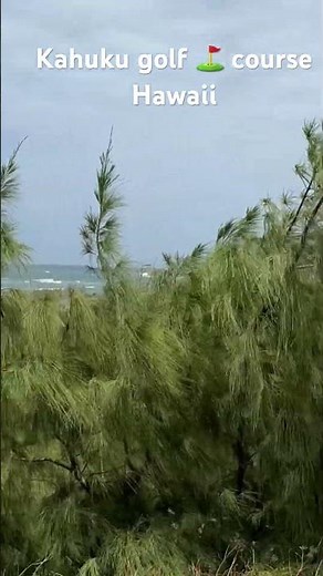 Must visit golf ⛳️ course Hawaii - Kahuku #golf #travel #hawaiianisland