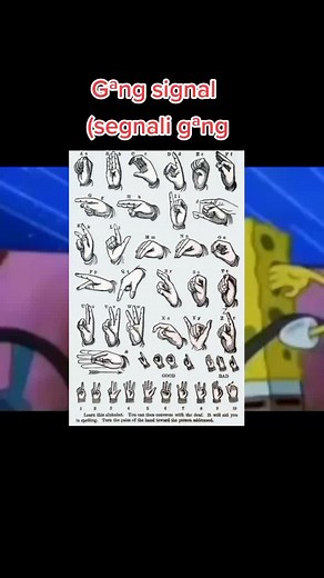 Understanding Hand Gestures with Animated Signals