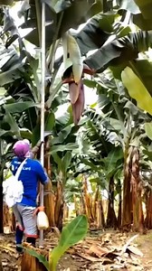 5.2M views · 125K reactions | Interesting inventions and smart ways of working | Oslo14 | Facebook