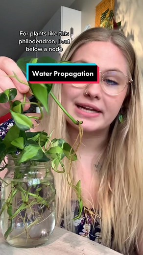 Nicole Larson on TikTok