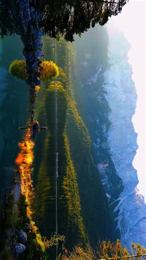 Nature is Heaven 😍💫 #nature #travel #beautiful #4k #shorts