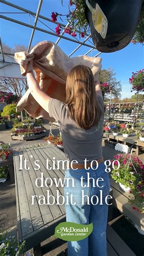 2.1K views · 33 reactions | ✨ The wait is over — A Garden Party...