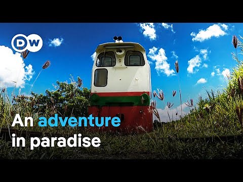 By train through the Caribbean | DW Documentary