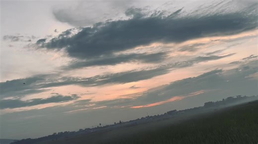 Stardust: A Cosmic Journey