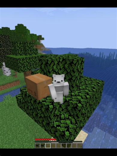 falsity y verity 😨#verity #minecraft #parati #mods #humor | verity