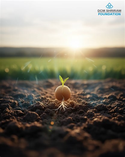 DCM Shriram Foundation on Instagram: "Every seed carries a promise of growth, of nourishment and of change.​ At DCM Shriram Foundation, we believe that empowering a farmer is like planting that very seed, one that grows knowledge, cultivates confidence, and sustains entire communities.​ Through the Jeetega Kisaan initiative, farmers across Bharuch, Sabarkantha, and Sonbhadra are learning to nurture their soil, use water wisely, and adopt sustainable practices that yield more than crops, they yie