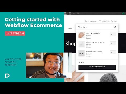 Webflow Ecommerce Basics
