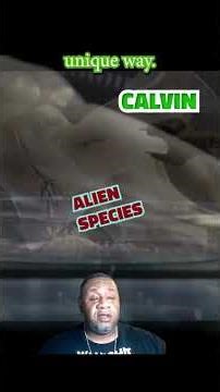 Alien Origins 👽 – The Birth of Calvin Life 2017