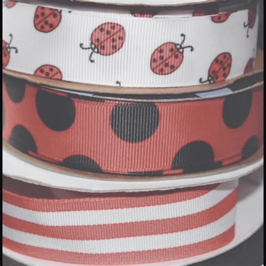 Ladybug Aesthetic Ideas for Your Moodboard