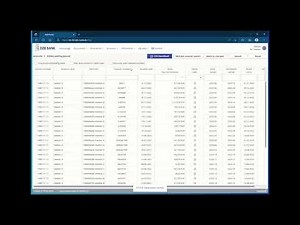 DZB portal video tutorial for customers in english