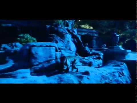 ZOOKEEPER International Teaser Trailer