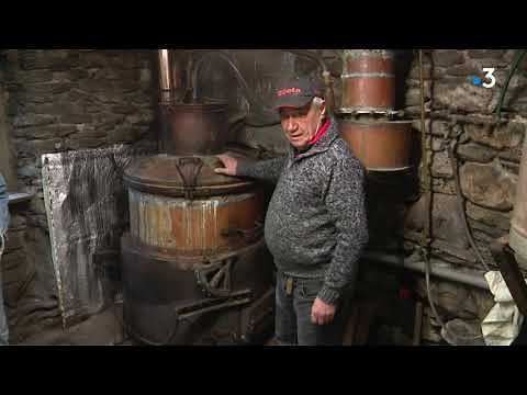Sainte-Croix-Vallée-Française : Michel le bouilleur de cru et son alambic