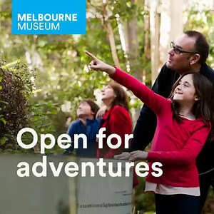 Melbourne Museum is open! Visit our website to book your tickets and find out how we're supporting your safety. Photos taken pre-coronavirus restrictions. | Melbourne Museum