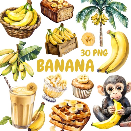 Watercolor Banana Clipart Bundle, Tropical Fruit Clipart, Banana Illustrations, Transparent PNG Graphics, Commercial Use - Etsy