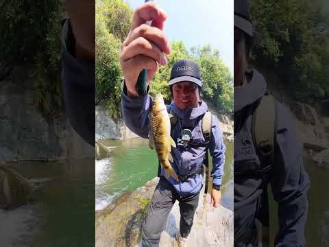 溪流探钓（69） 这年轻的小伙子竟然爬瀑布下去钓鱼！这里除了有鱼可以钓，夏天还能避暑！溪流狂热爱好者的圣地！