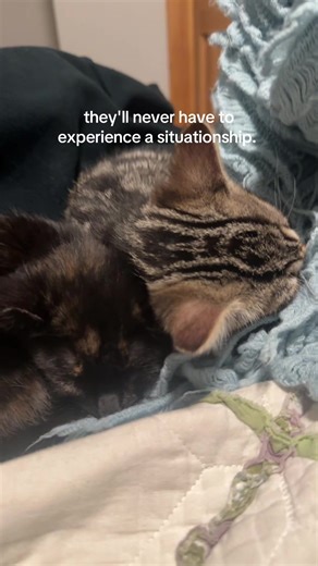 they're the lucky ones | Situationship