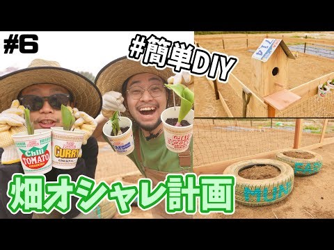 【素人農園DIY】家にあるものでオシャレガーデン作ってみた🔨