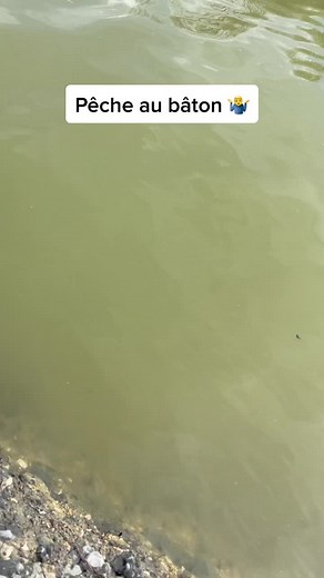 Quand j’ai pas ma cannes à pêche 😅 #peche #baton #drole_videos #ete #bouchon #lac #pourtoiii