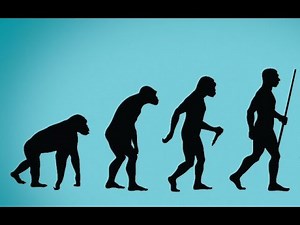 Haldane's Dilemma || Evolution Impossible!